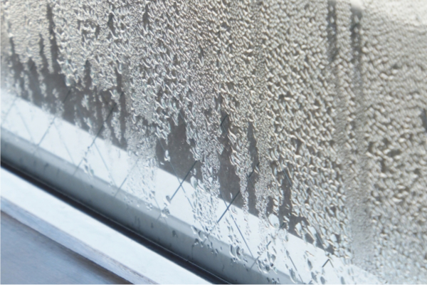 結露調査・修理